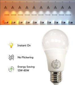Led 12W E27 Round Type Rafeed
