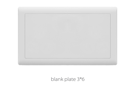V1 Ivory Blank Plate