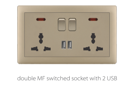 V1 Golden Double Socket