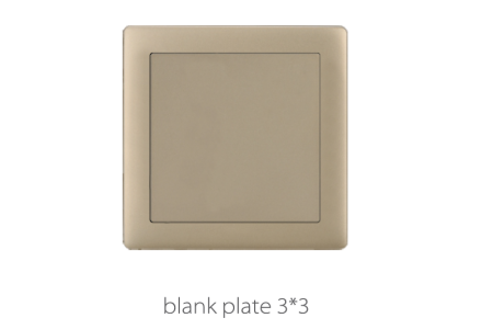 V1 Golden Blank Plate