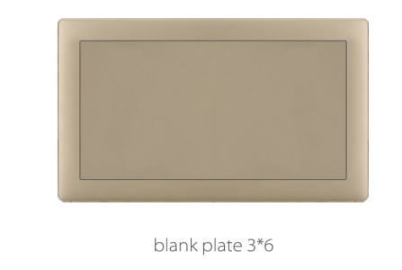 V1 Golden Blank Plate