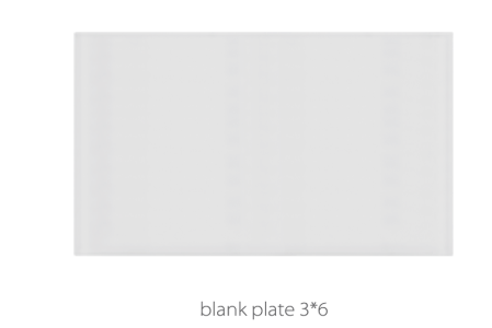 V4 Ivory Blank Plate